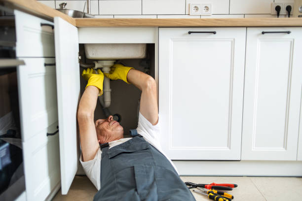 Best Plumbing System Maintenance  in St Johns, AZ